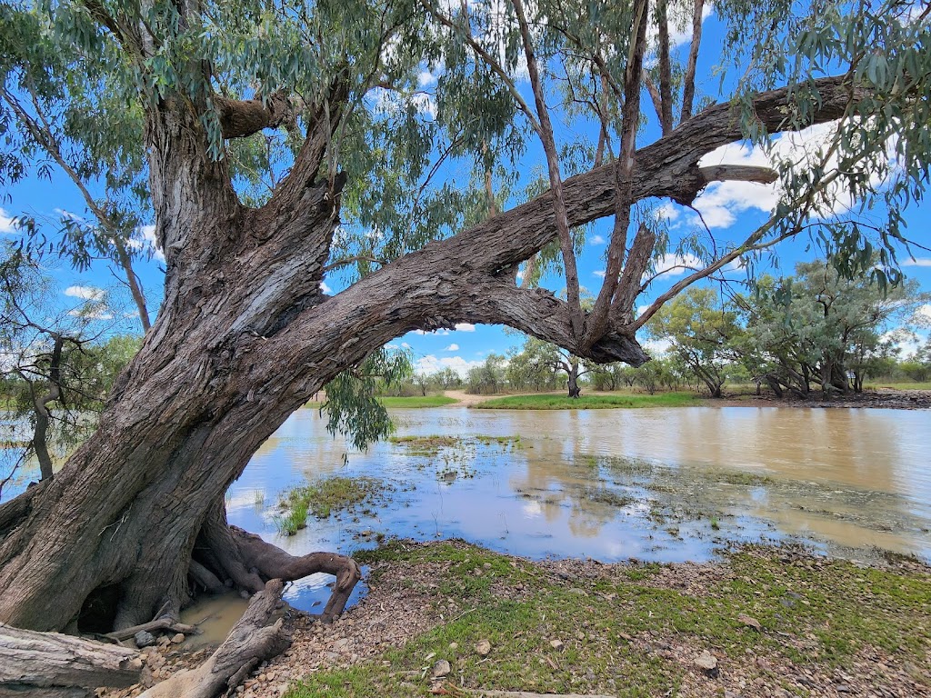 Angledool Weir | VWP3+HQ, Angledool NSW 2834, Australia | Phone: 1300 662 007