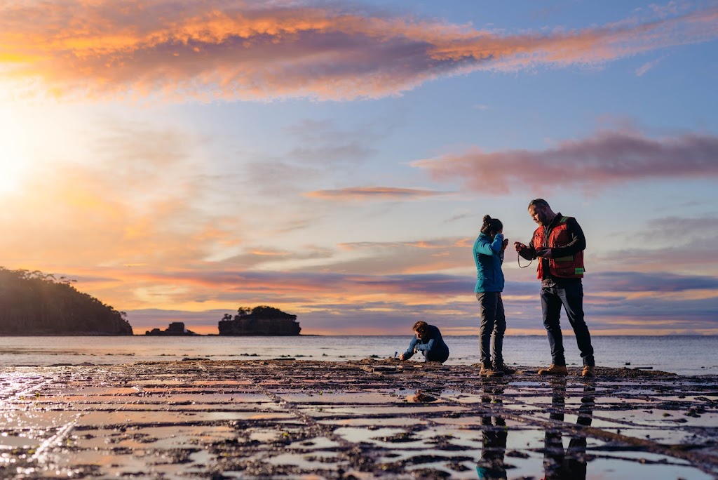 Oi Studios | Unit 2/4 Yamada Pl, Mornington TAS 7018, Australia | Phone: 0408 659 998