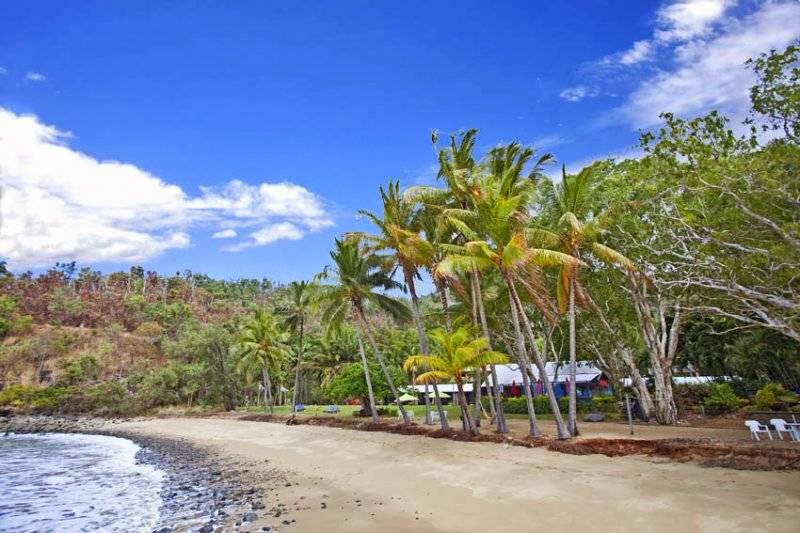 Turtle Cove Beach Resort | lodging | 4500 Captain Cook Hwy, Wangetti QLD 4877, Australia | 0740591800 OR +61 7 4059 1800