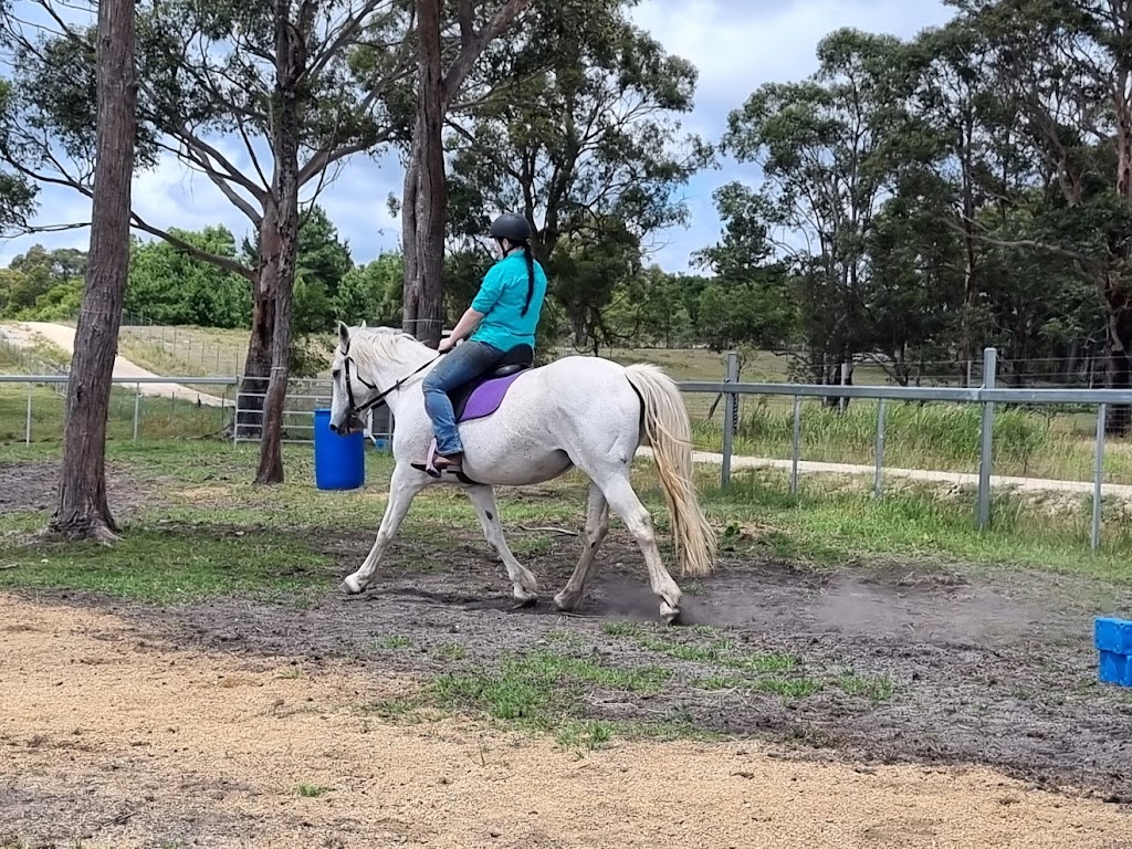 Hands On Horses Australia | 82 Border Gate Rd, Cottonvale QLD 4375, Australia | Phone: 0417 579 264