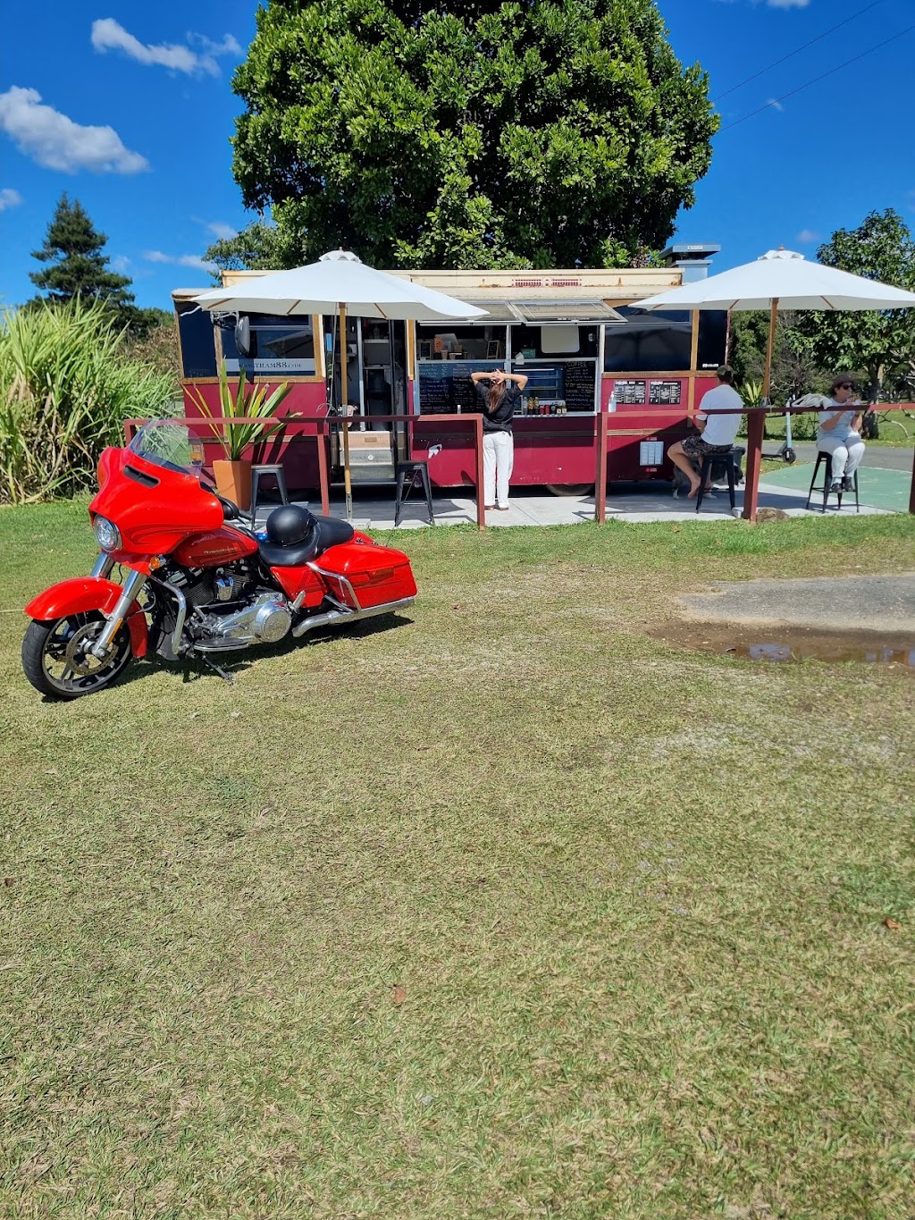 TRAM88 | 169 Numinbah Rd, Kynnumboon NSW 2484, Australia | Phone: 0472 793 818