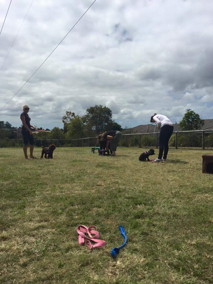 Upper Coomera #2 Fenced Dog Park | Gannon Way, Upper Coomera QLD 4209, Australia