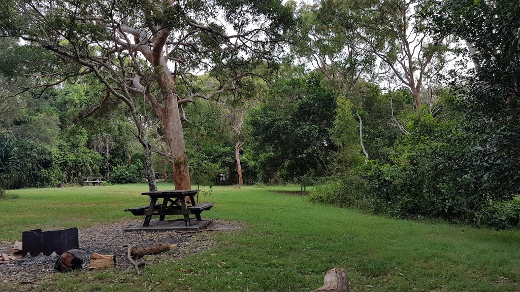 Station Creek campground | campground | Station Creek Road, Barcoongere NSW 2460, Australia | 0266411500 OR +61 2 6641 1500
