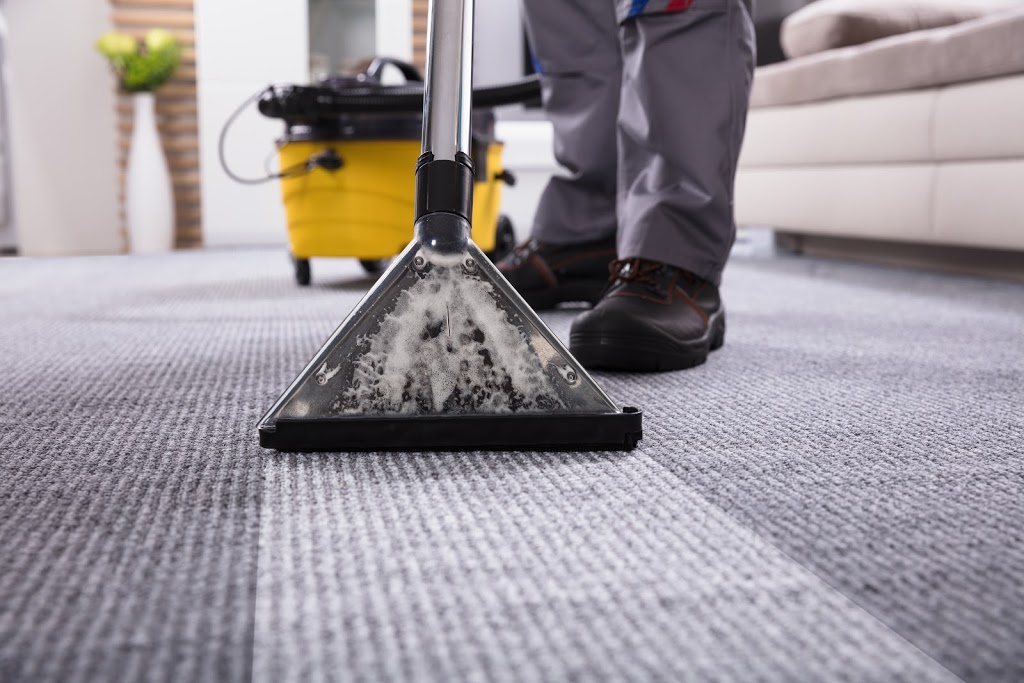 Carpet Cleaning South Melbourne | South Melbourne VIC 3205, Australia | Phone: 0480 025 277