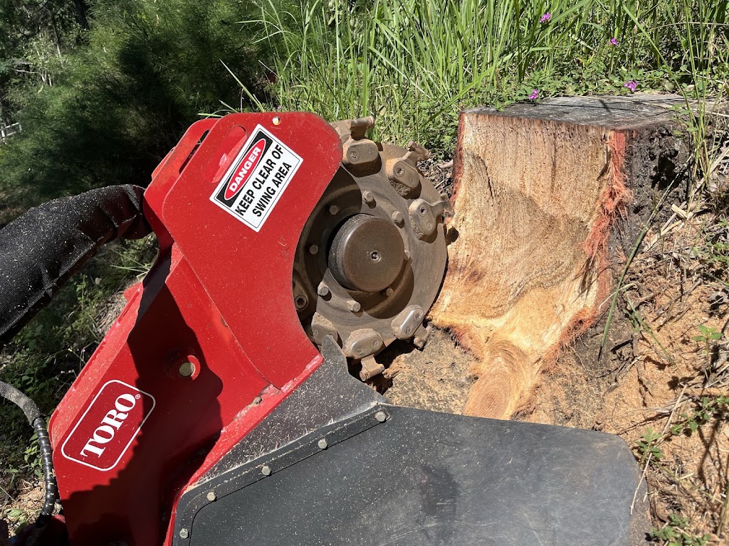 SR Stump Grinding | 46 Climax Ct, Witheren QLD 4275, Australia | Phone: 0492 070 597