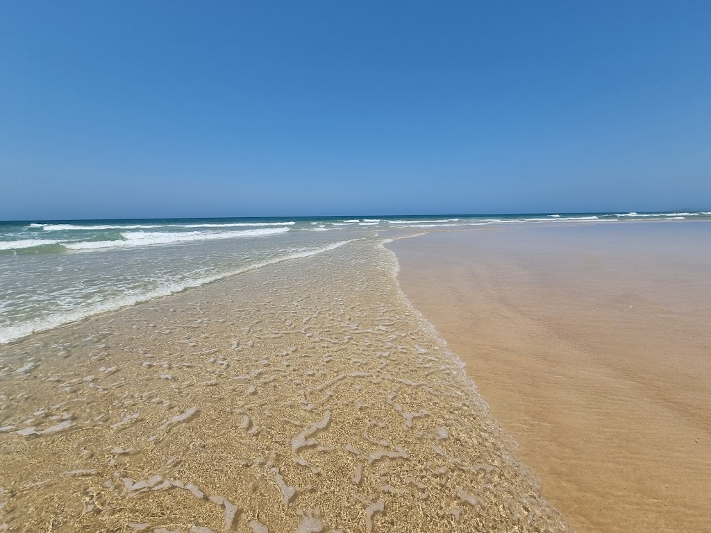 Mermaid Beach Surf Life Saving Club | Mermaid Beach QLD 4218, Australia | Phone: (07) 5575 3211