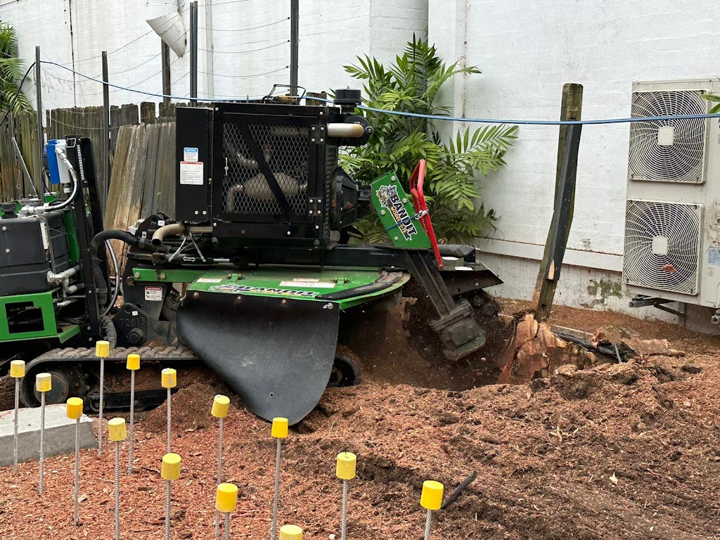 Pro Arborists northern beaches | 42A Tennyson Rd, Cromer NSW 2099, Australia | Phone: 0452 200 715