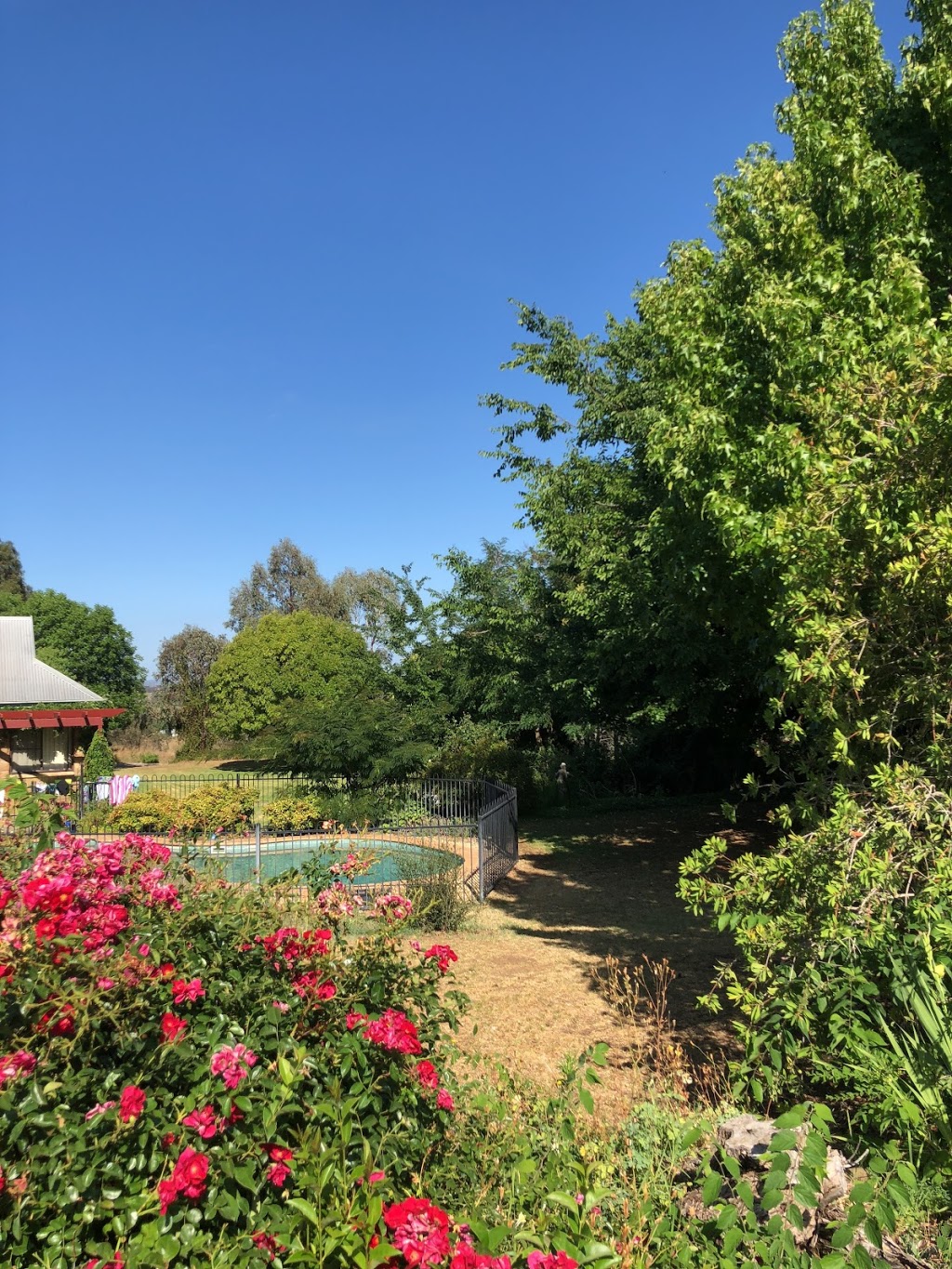 The Country Cottage Gardens | park | 137 Barraba Station Rd, Barraba NSW 2347, Australia | 0487306048 OR +61 487 306 048