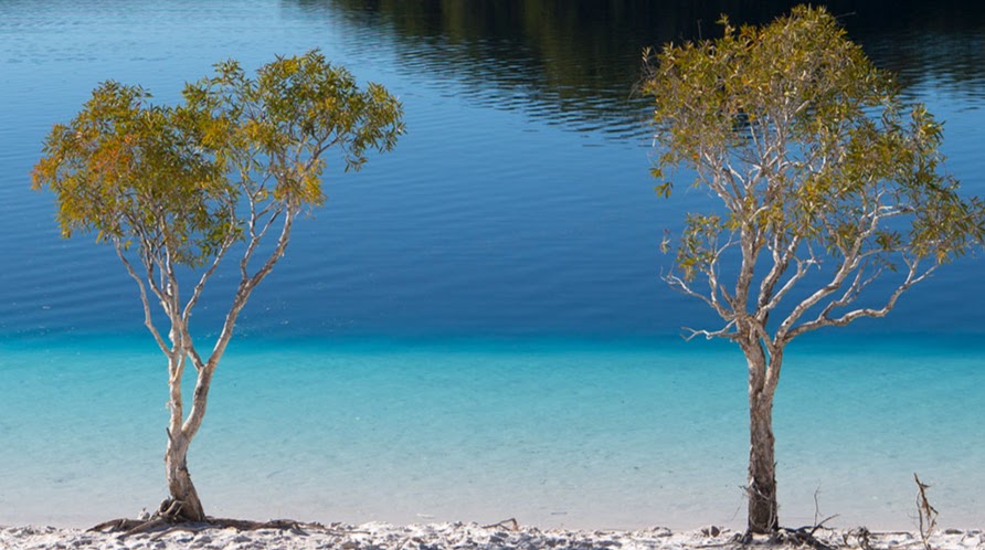 Kingfisher Bay Resort | Kingfisher Bay, Fraser Island QLD 4581, Australia | Phone: (07) 4120 3333