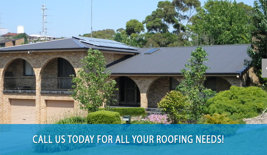 Blue Tongue Roofing | 16 Regent St, Tingira Heights NSW 2290, Australia | Phone: 0419 972 809
