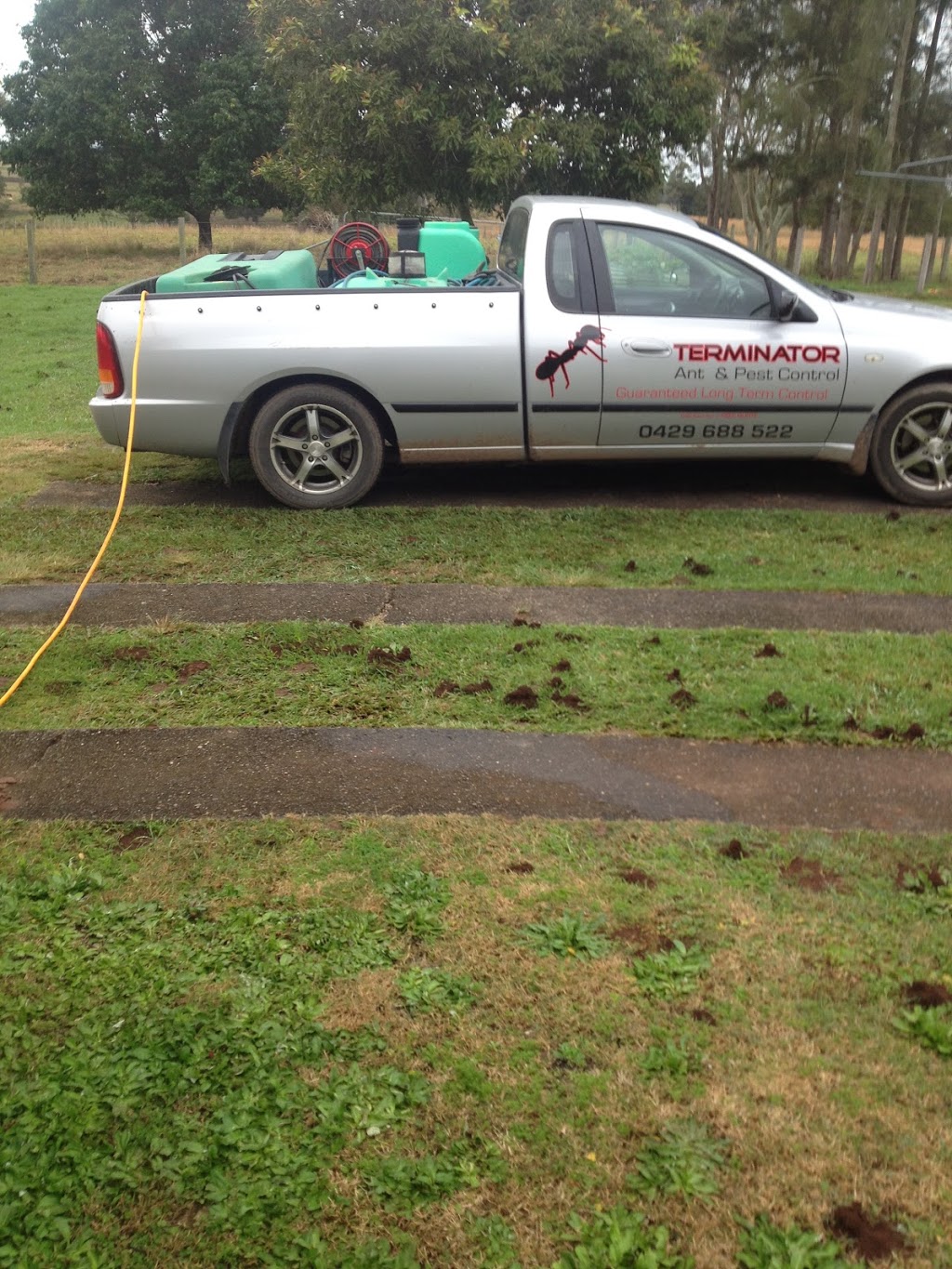 Terminator Ant and Pest Control | 22 Nambucca St, Nambucca Heads NSW 2448, Australia | Phone: 0429 688 522