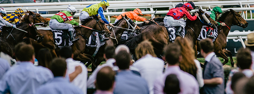 Caulfield Racecourse | Gate 22 Station St, Caulfield East VIC 3145, Australia | Phone: 1300 467 223