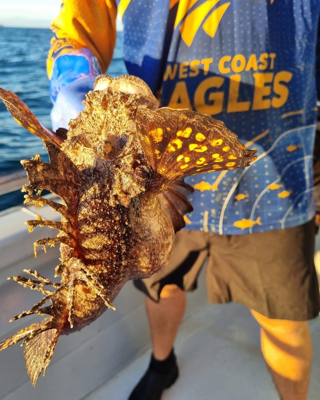 Kalbarri Offshore Adventures | 160 Grey St, Kalbarri WA 6536, Australia | Phone: 0427 010 976