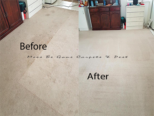 MessBeGone Carpet Cleaning & Pest Control | laundry | Jordan Ct, Caboolture QLD 4510, Australia | 0405550719 OR +61 405 550 719