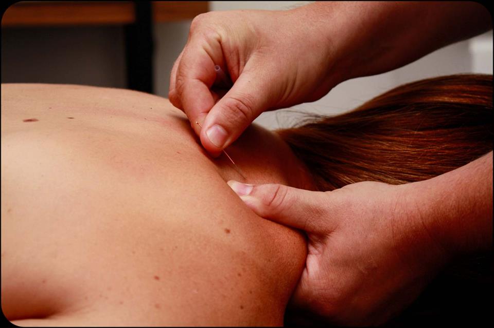 KDM Massage & Wellness Centre | health | 116 Main Hurstbridge Rd, Diamond Creek VIC 3089, Australia | 0498638562 OR +61 498 638 562