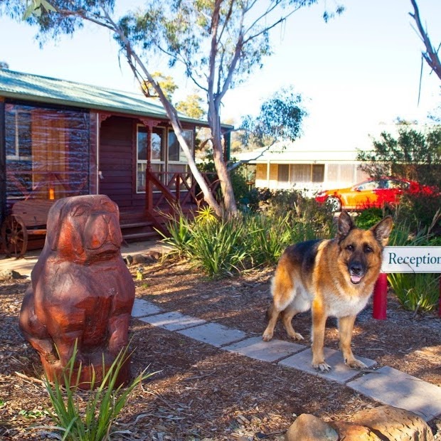 Vern Ryans Pet Resort | veterinary care | 3332 Bacchus Marsh-Geelong Rd, Balliang East VIC 3340, Australia | 0353695236 OR +61 3 5369 5236