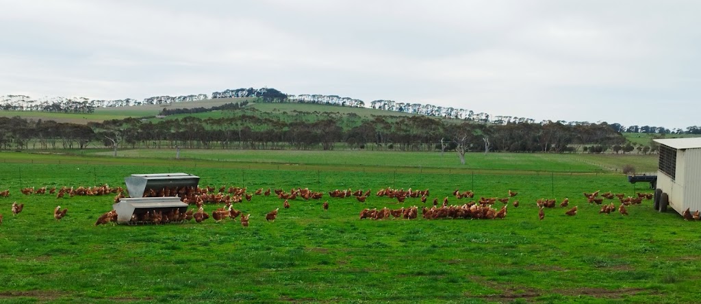 Freshwater Free Range | 2150 Barrabool Rd, Mount Moriac VIC 3240, Australia | Phone: 0493 355 131
