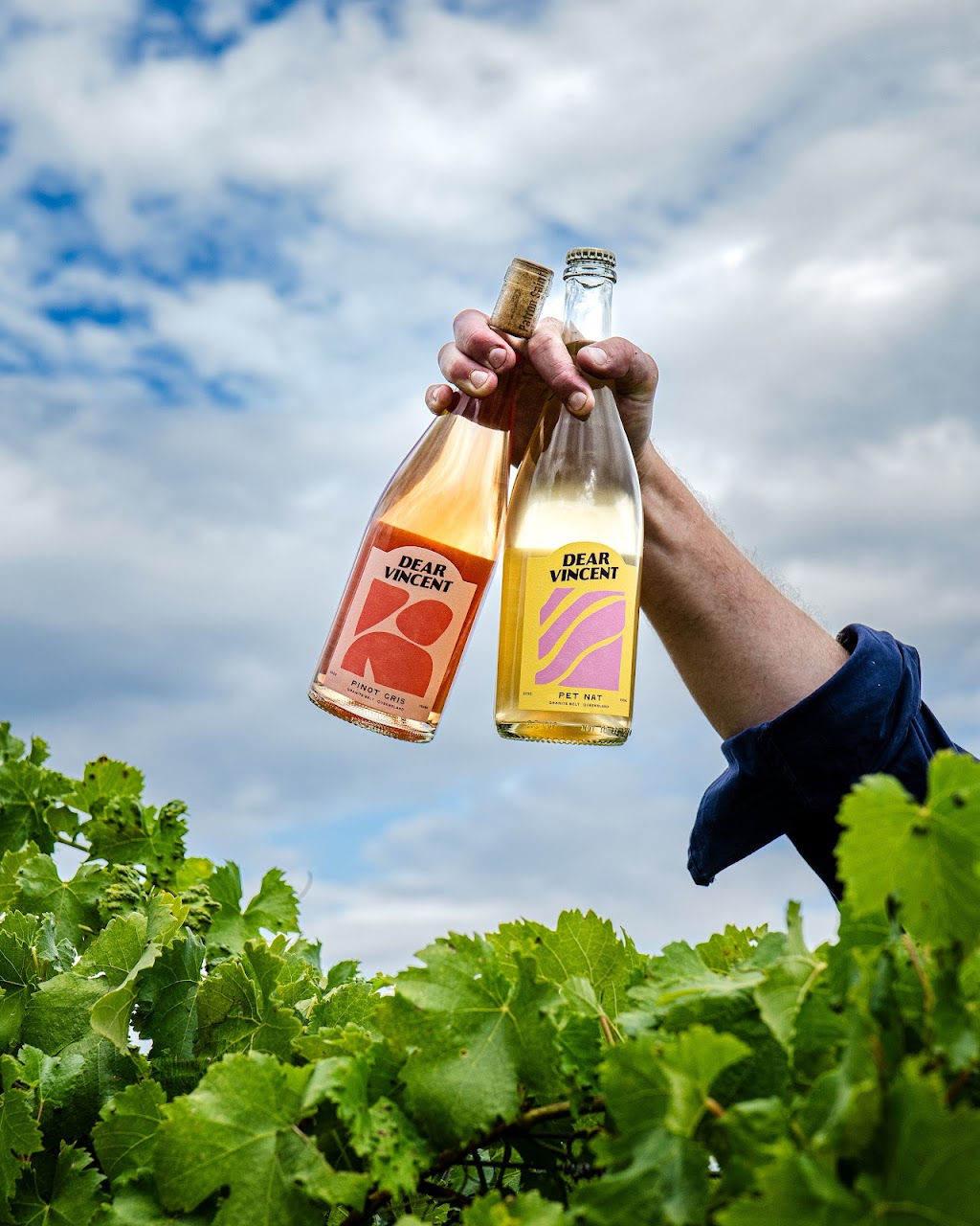 Dear Vincent Wines | 64 St Judes Ln, Ballandean QLD 4382, Australia | Phone: 0422 057 333 Dear Vincent Wines | 64 St Judes Ln, Ballandean QLD 4382, Australia | Phone: 0422 057 333