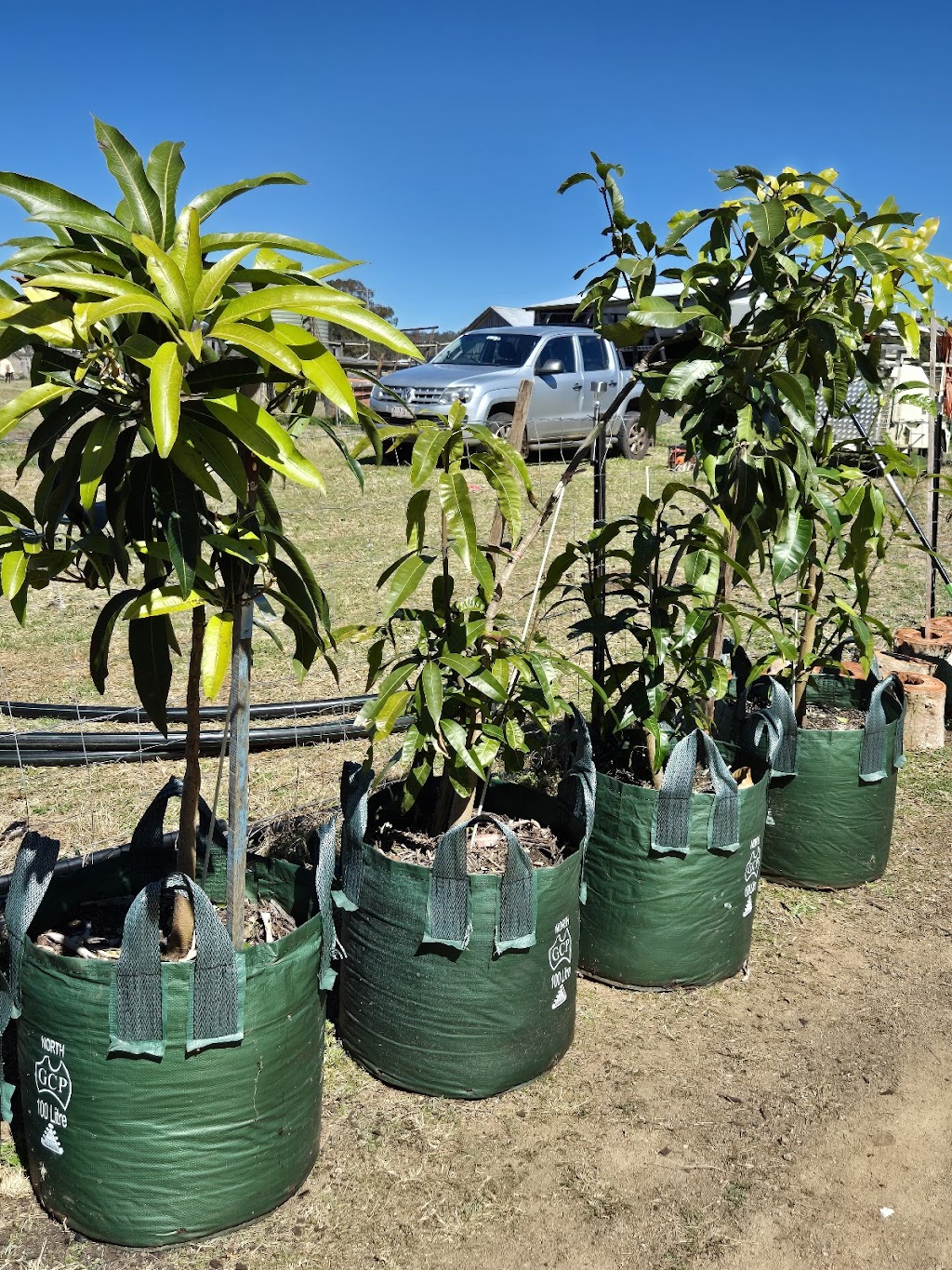 Circle 7 Construction and Plants | 7146 New England Hwy, Crows Nest QLD 4355, Australia | Phone: 0400 220 113