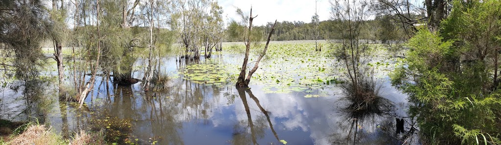 Cattai Wetlands | park | Spring Hill Rd, Coopernook NSW 2426, Australia | 0265925399 OR +61 2 6592 5399