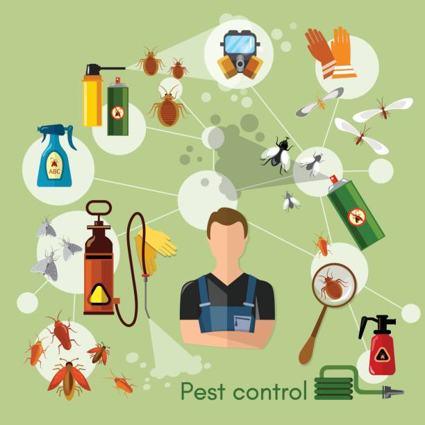 Kingsley Pest Control Solutions | home goods store | 100 Kingsley Dr, Kingsley WA 6026, Australia | 0861172958 OR +61 8 6117 2958