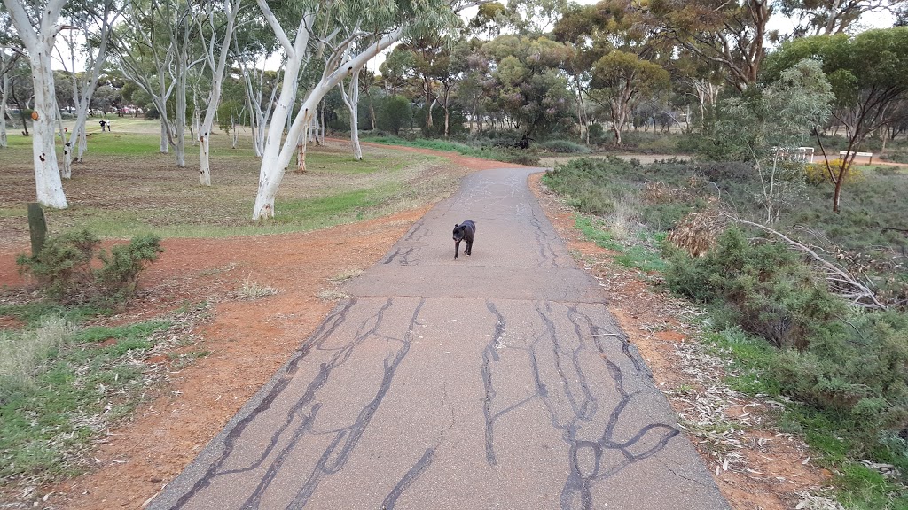 Kalgoorlie Arboretum | West Lamington WA 6430, Australia