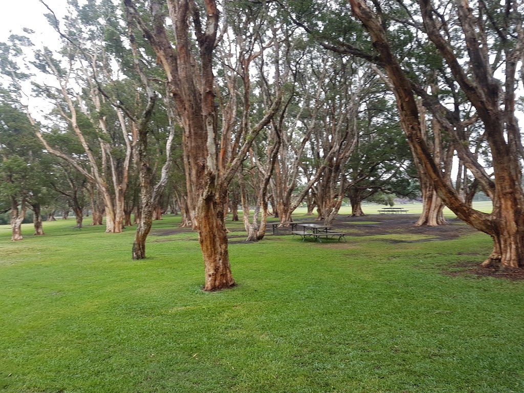 Larry Friedbergs Tai-Chi & Self Defence Sydney | The Labyrinth, Dickens Dr, Centennial Park NSW 2021, Australia | Phone: 0415 689 638