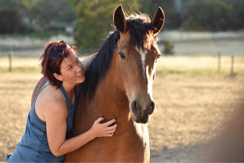 Medicine Horse | Berry Dr, Maida Vale WA 6057, Australia | Phone: 0488 021 550