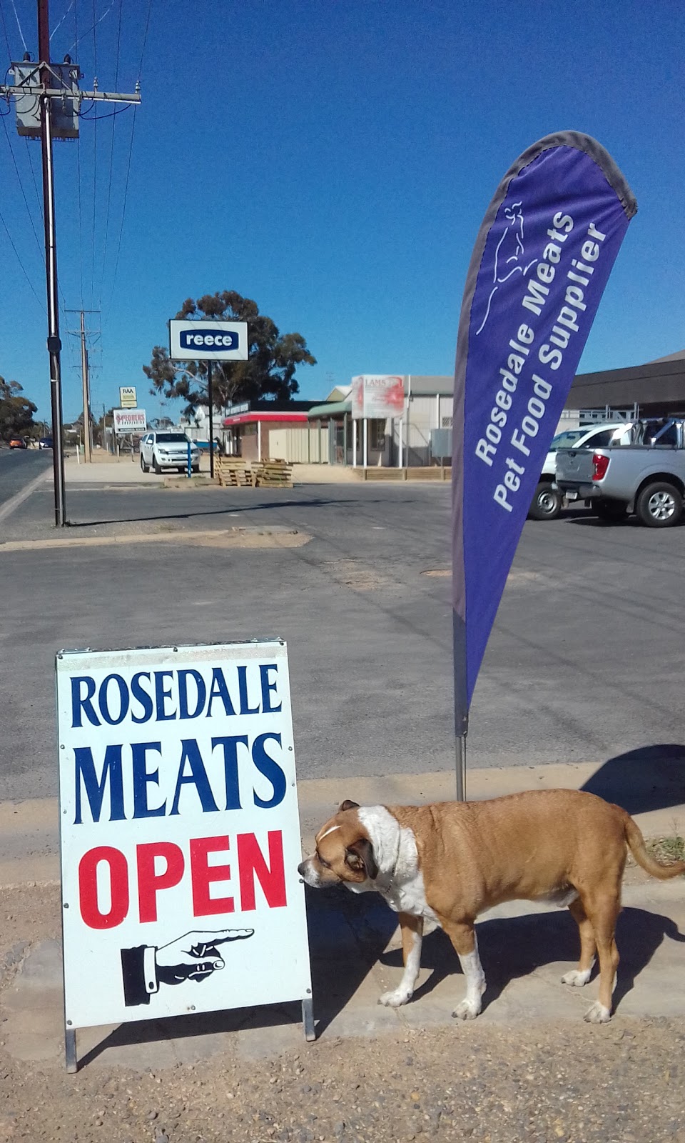 Rosedale Meats Pet Food Specialists |  | 35 Jellett Rd, Berri SA 5343, Australia | 0885825070 OR +61 8 8582 5070