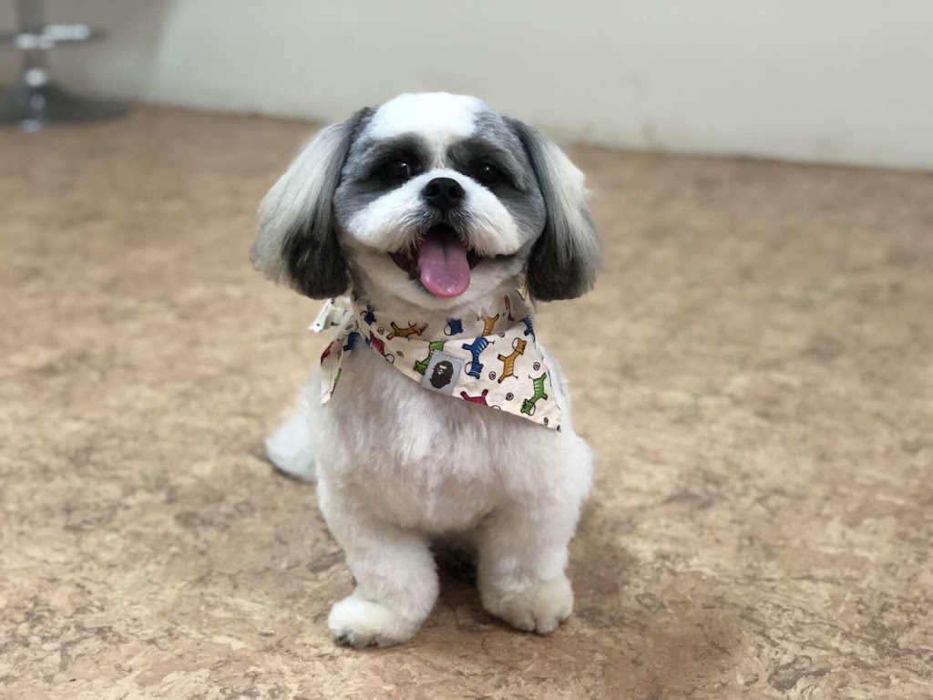 Darling Paws Grooming Boutique | pet store | 156A Burns Bay Rd, Lane Cove NSW 2066, Australia | 0280958279 OR +61 2 8095 8279