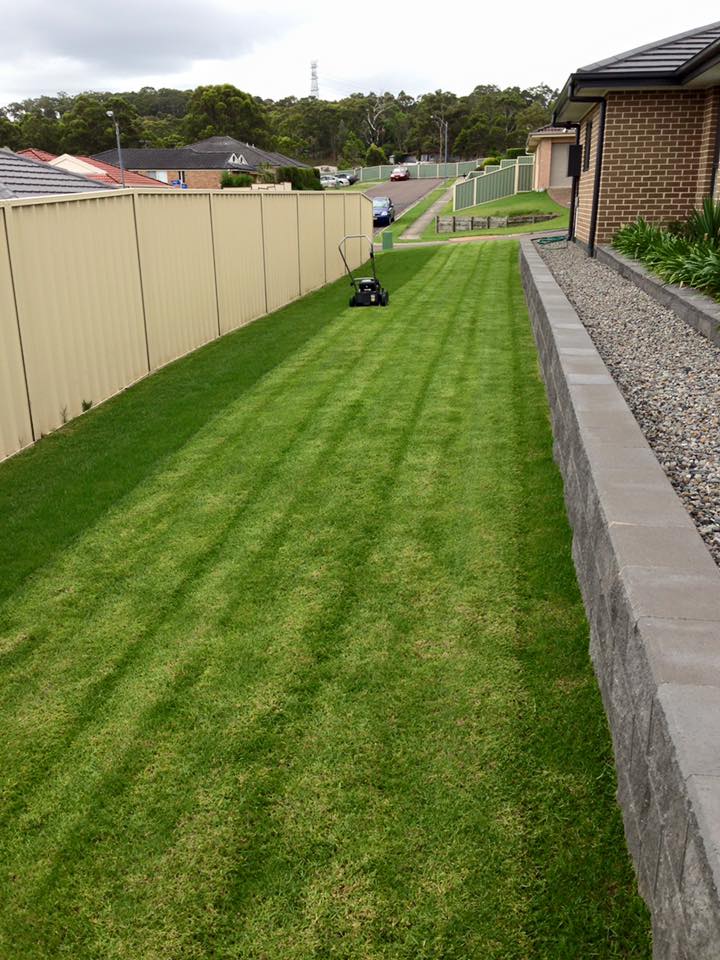 Snippits Lawn and Garden Care |  | 133 Main Rd, Speers Point NSW 2284, Australia | 0408626123 OR +61 408 626 123