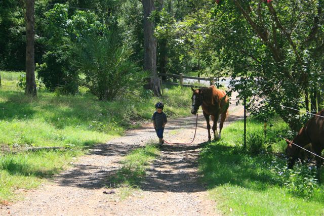 mary valley equine training centre |  | Belli Park QLD 4562, Australia | 0409320284 OR +61 409 320 284