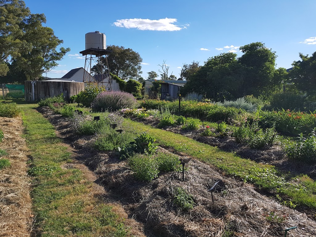 Nutshell Perennial Plant Nursery |  | 750 Humula Rd, Humula NSW 2652, Australia | 0408692773 OR +61 408 692 773