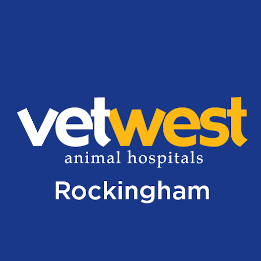 Vetwest Animal Hospitals Rockingham | veterinary care | 3-9 Enterprise Way, Rockingham WA 6168, Australia | 0894041145 OR +61 8 9404 1145