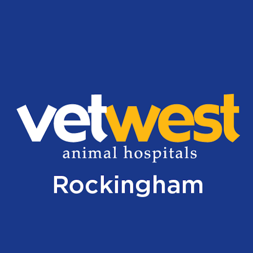 Vetwest Animal Hospitals Rockingham | 3-9 Enterprise Way, Rockingham WA 6168, Australia | Phone: (08) 9404 1145