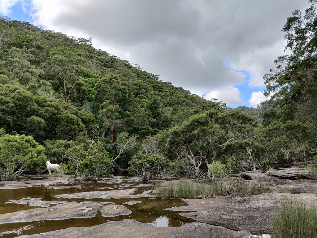 The Needles | Woronora River, Barden Ridge NSW 2234, Australia | Phone: 0412 534 678