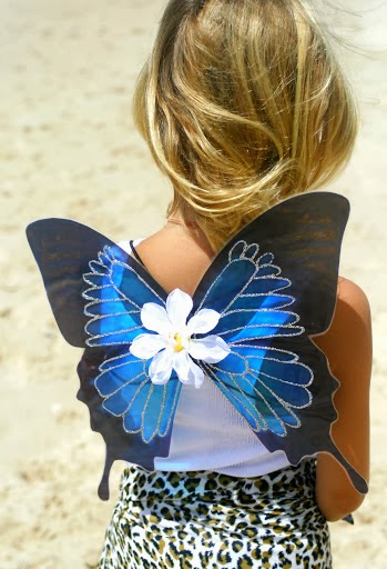 Stick on Butterflies | clothing store | 6 Natan Ct, Ocean Shoes NSW 2483, Australia | 0405410965 OR +61 405 410 965