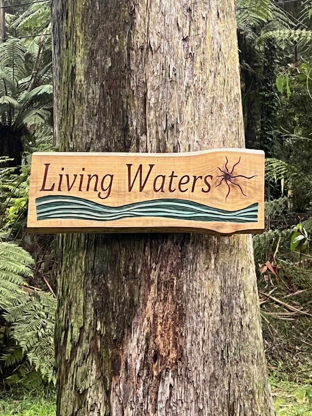Living Waters Accommodation | 76 Sassafras Creek Rd, Sherbrooke VIC 3789, Australia | Phone: 0449 606 865