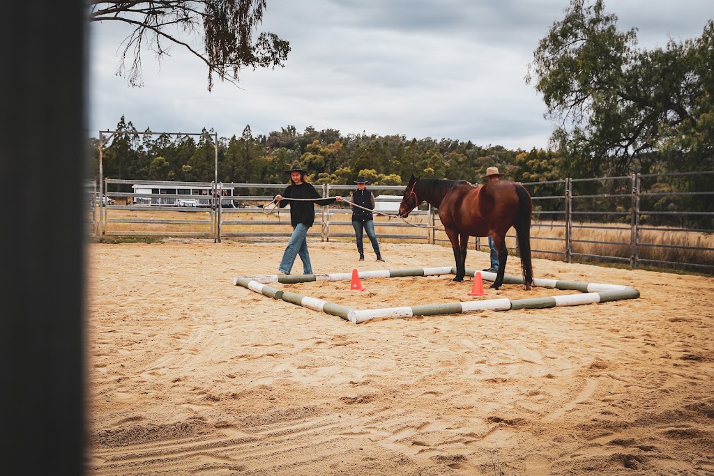 Pindari Centre | 2000 Emmaville Rd, Ashford NSW 2361, Australia | Phone: 0428 662 528