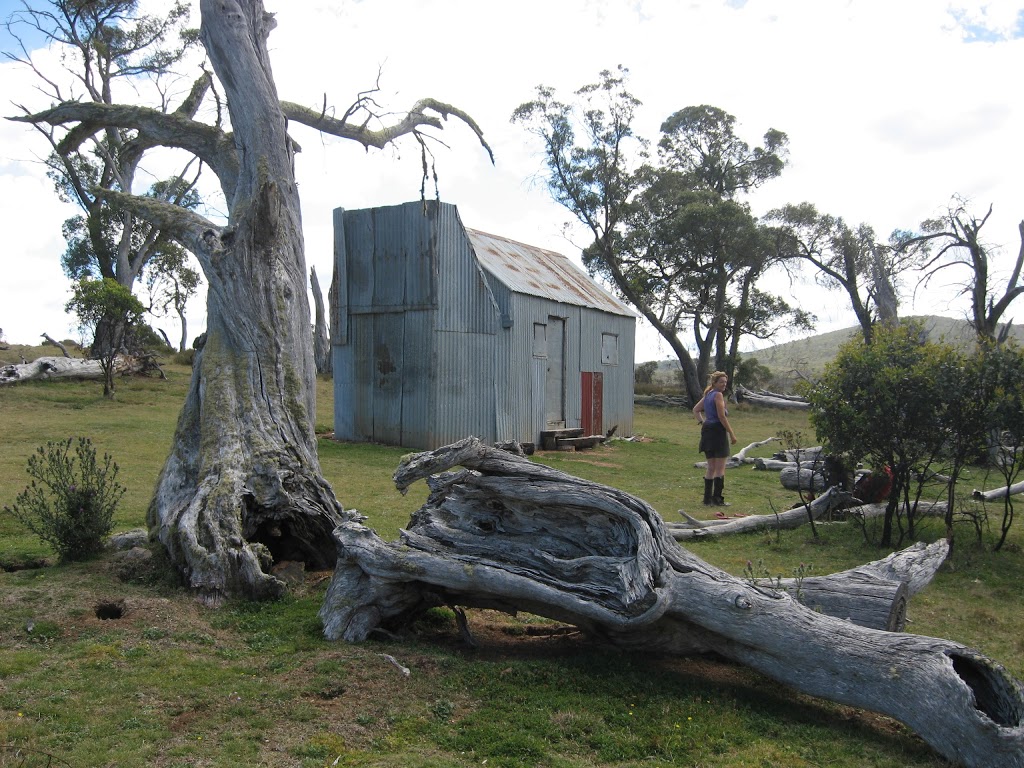Hainsworth Hut Camping Area | lodging | Long Plain NSW 2629, Australia
