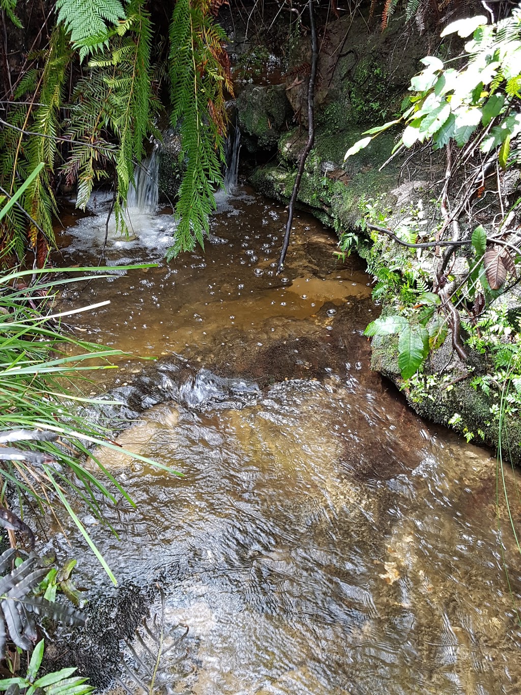 Pool of Siloam walking track | park | Leura NSW 2780, Australia