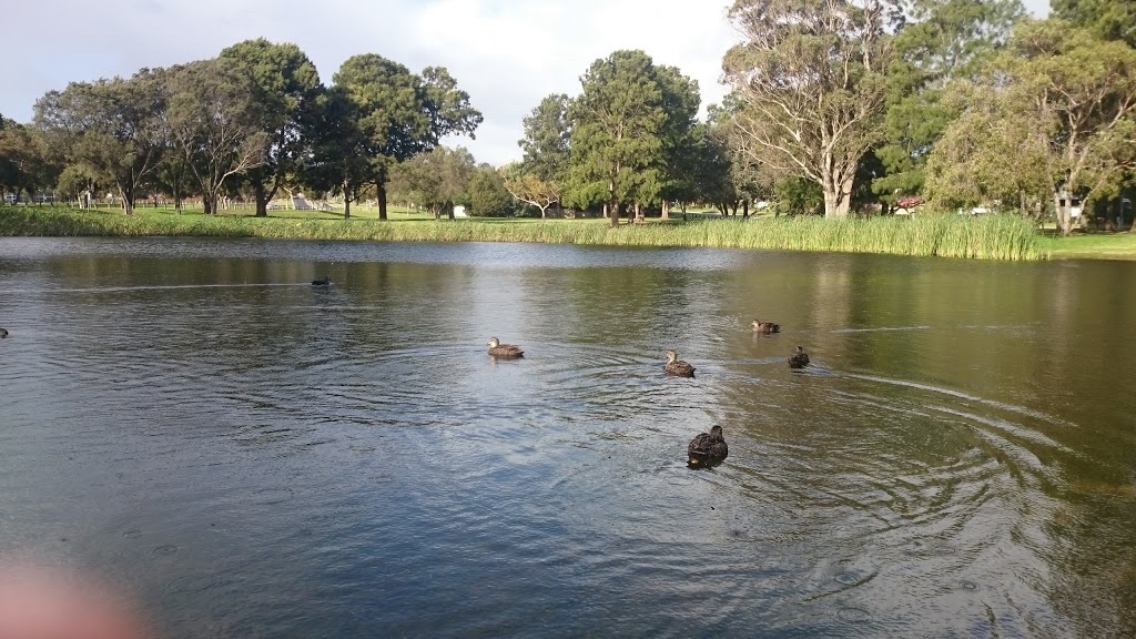 Wanneroo Duck Pond | park | 40 Ariti Ave, Wanneroo WA 6065, Australia