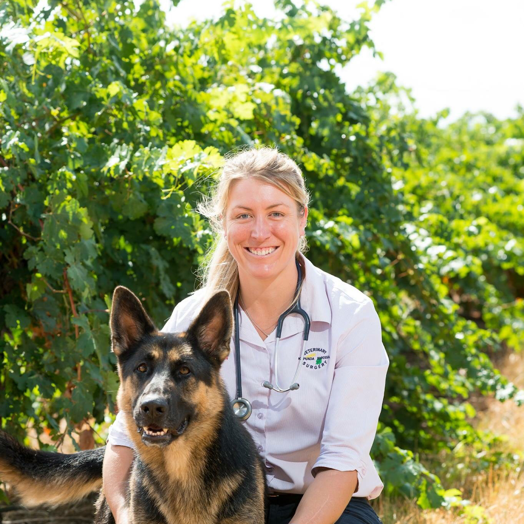 Barossa Veterinary Service | pharmacy | 29 Railway Terrace, Nuriootpa SA 5355, Australia | 0885621162 OR +61 8 8562 1162