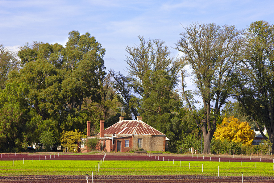 Tripod Farmers | 540 Bacchus Marsh Rd, Bacchus Marsh VIC 3340, Australia | Phone: (03) 5367 4861