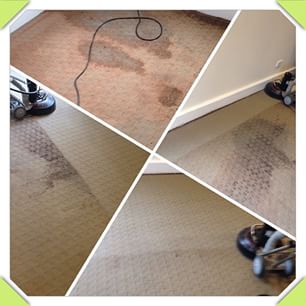 Super Roo Carpet & Tile Cleaning | laundry | 4/2 Acacia St, Yarrawonga VIC 3730, Australia | 0407665433 OR +61 407 665 433