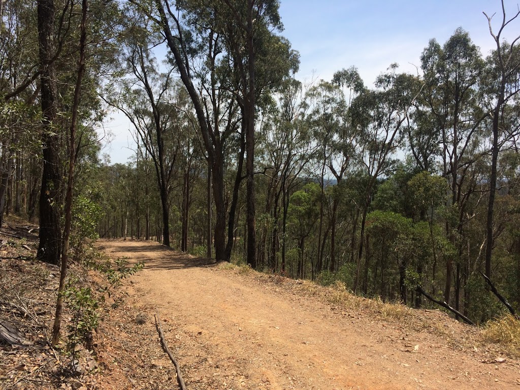 South Boundary Road Hiking Trail | park | S Boundary Rd, Enoggera Reservoir QLD 4520, Australia