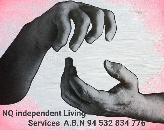 NQ Independent Living Services | 12 Ray St, Yorkeys Knob QLD 4878, Australia | Phone: 0411 341 244