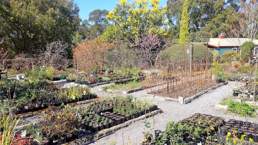 Pauls Horticulture and Nursery | 23219 Tasman Hwy, Scamander TAS 7215, Australia | Phone: (03) 6372 5186
