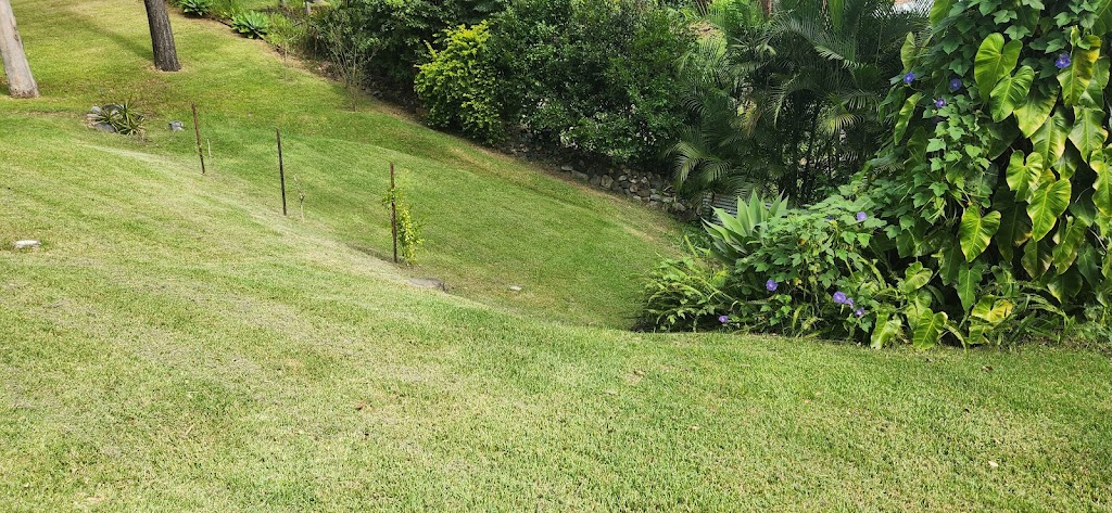 Pacific Palms Mowing | Boomerang Dr, Boomerang Beach NSW 2428, Australia | Phone: 0484 037 930