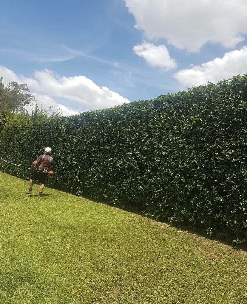 Atlas gardening and maintenance | Kooringal Rd, Munruben QLD 4125, Australia | Phone: 0434 393 407